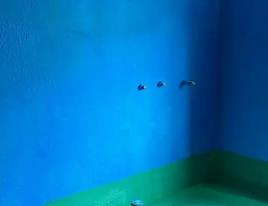 双湖卫生间测漏水多少钱